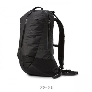 Arcteryx Arro 22L Backpack / ALL BLACK (全黑LOGO)